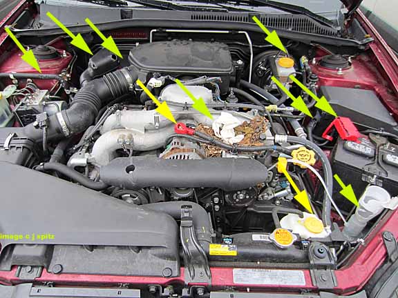 a rodent chewed up this Subaru engine compartment