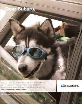 Subaru Outback magazine ad with dog