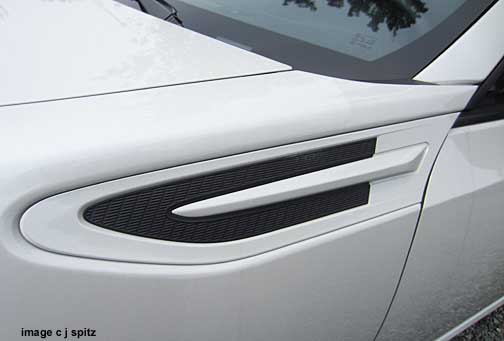 white brz fender trim