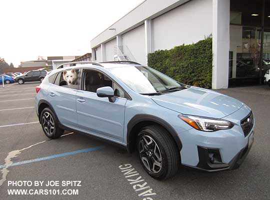 2018 Coool Gray Khaki Crosstrek with a Husky looking out the window