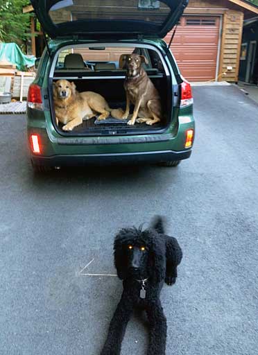 Taj, Nola and Jacques in their new 2013 Subaru Outback Limited, august 2012