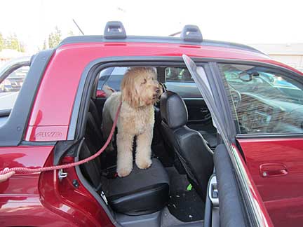 Abbey in her 2005 red Subaru baja