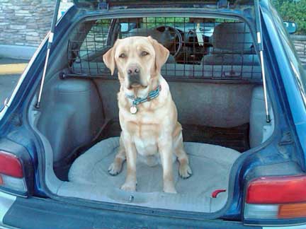 Banjo in his Subaru Impreza Outback Sport