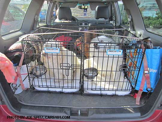 2 dogs Bianca, Bridgette in the Subaru Forester