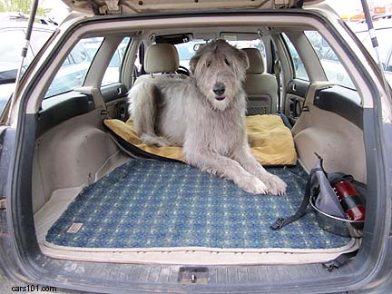 irish wolfhound in his 2006 subaru outback