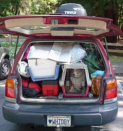 corgi in his crate in a loaded up Subaru forester moving to in Washinton State