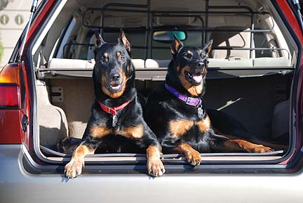 2 beaucerons in their Subaru Outback, October 2011