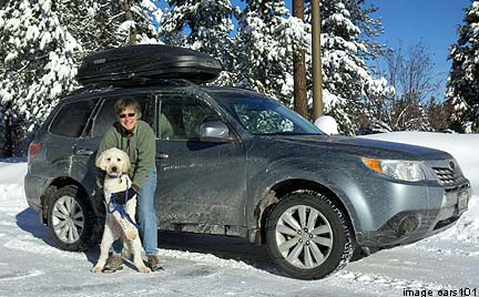 Ella the Dog and her Subaru