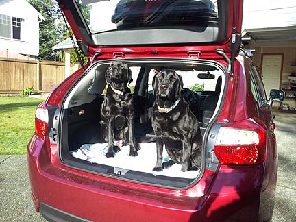 2 dogs in a 2012 subaru impreza 5 door