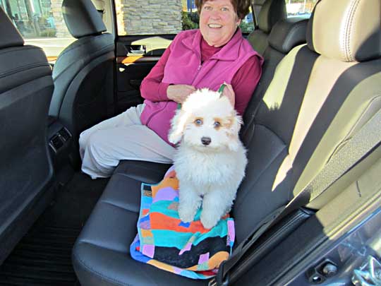 Gigi in her new new 2014 Outback, December 2013