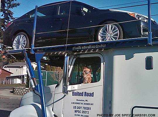 a dog in a car transporter delivering new subarus to a dealer