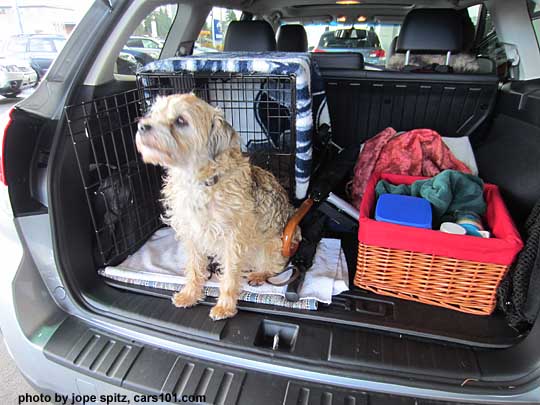 dog jack in his subaru outback, december 2012