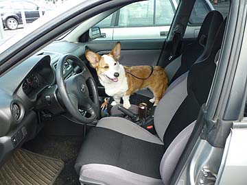 Jasmine in her WRX