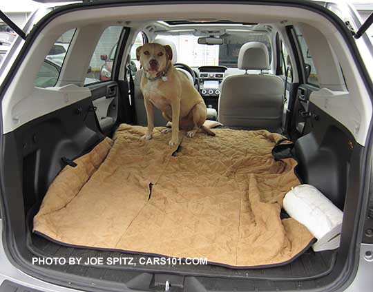 Leonard is a really sweet pit bull/lab rescue. Shown waiting for his people in his Subaru Forester, June 2017.