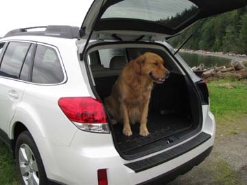 Luuca and her 2010 Outback