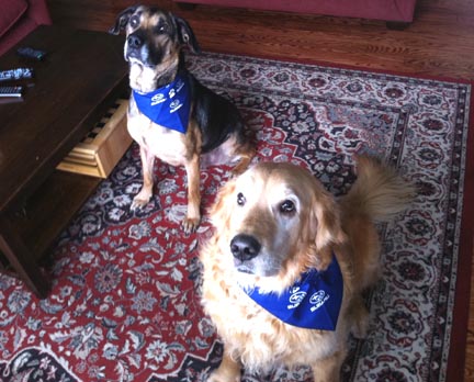 Maggie and Murphy in their Subaru finery