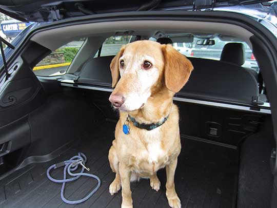 Rown in her new 2015 Outback. November 2014.