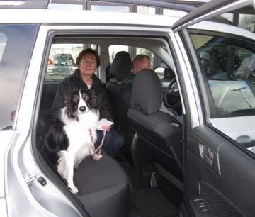 Skye the dog in his new Subaru Forester
