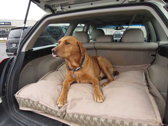 Tanner in his Subaru Outback