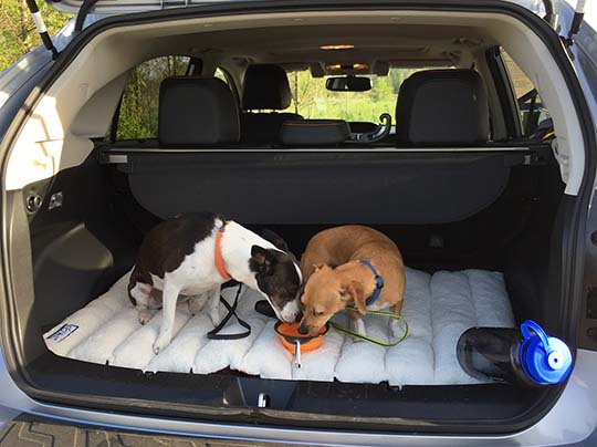 subaru crosstrek back seat dog cover