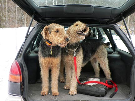 Subaru dogs Winston and Bentley