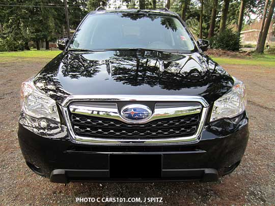 front view, grill 2014 black forester