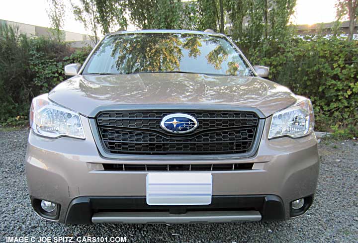 forester optional front Sport Grill and front bumper underguard
