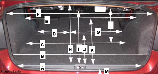 leg10trunk1c