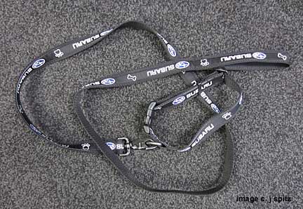 subaru logo dog leash and collar