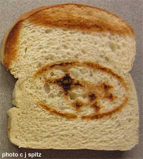 small image subaru pleiades logo toasted bread, 2012